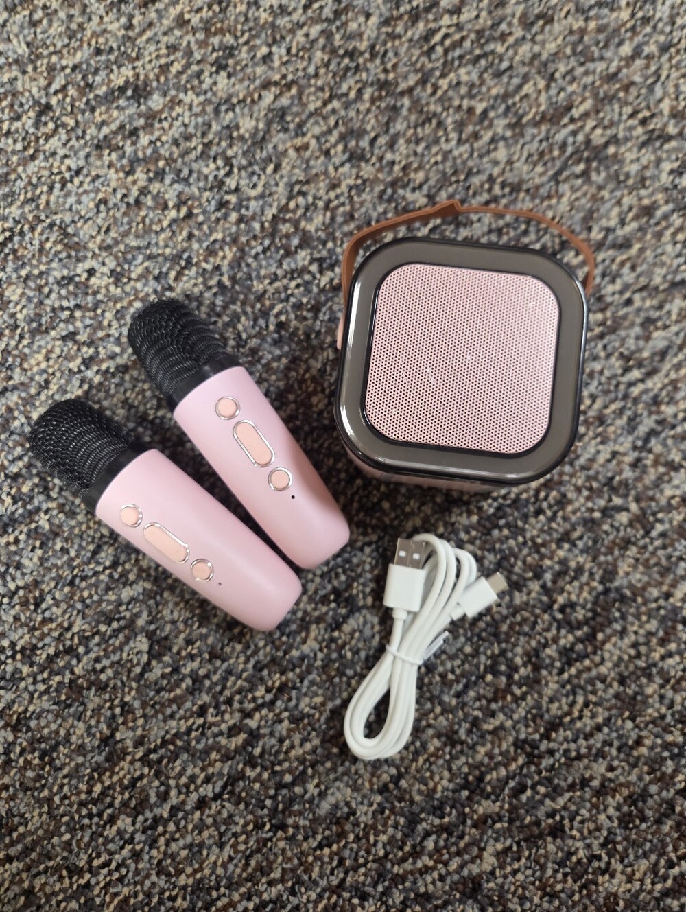 Mini Karaoke Speaker And Microphones